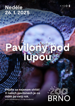 Pavilony pod lupou: komentované prohlídky pavilonů